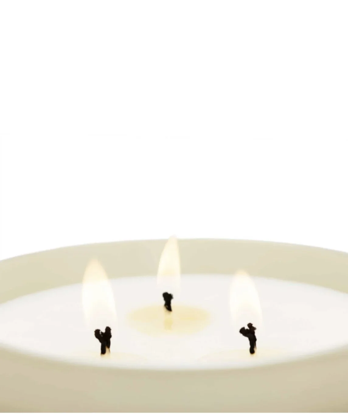 Black Orchid & Lily снимка 5